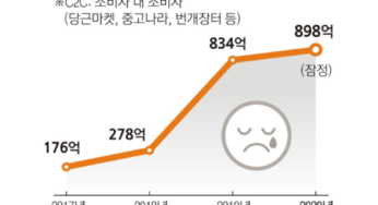 중고거래 사기는 정말 막을 수 없는걸까?